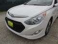 Porcelain White Pearl - Sonata Hybrid Photo No. 10