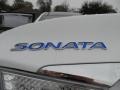 Porcelain White Pearl - Sonata Hybrid Photo No. 16