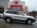 Pewter - Santa Fe GLS 4WD Photo No. 1
