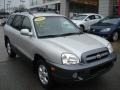 Pewter - Santa Fe GLS 4WD Photo No. 2
