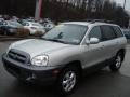 Pewter - Santa Fe GLS 4WD Photo No. 4