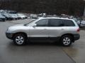 Pewter - Santa Fe GLS 4WD Photo No. 5