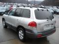 Pewter - Santa Fe GLS 4WD Photo No. 6