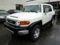 2010 Iceberg White Toyota FJ Cruiser 4WD  photo #11