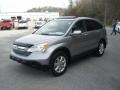 2008 Whistler Silver Metallic Honda CR-V EX-L  photo #13