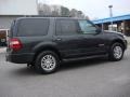 Carbon Metallic 2007 Ford Expedition XLT Exterior