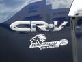 2010 Royal Blue Pearl Honda CR-V EX  photo #9
