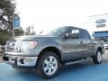 Sterling Gray Metallic 2012 Ford F150 Gallery