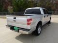 2010 Ingot Silver Metallic Ford F150 XLT SuperCrew  photo #18