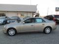 Cashmere - CTS Sedan Photo No. 4