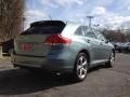 Aloe Green Metallic - Venza V6 AWD Photo No. 6