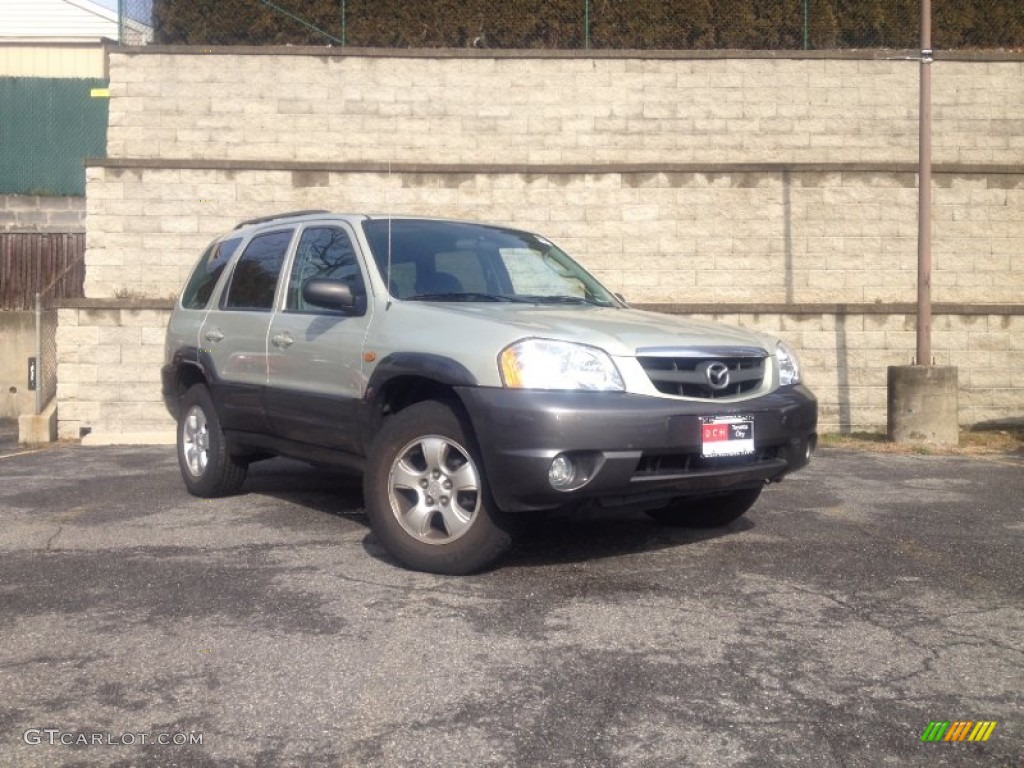 Pebble Ash Metallic Mazda Tribute