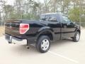 Black - F150 XLT Regular Cab Photo No. 3