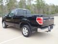 Black - F150 XLT Regular Cab Photo No. 5