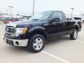 Black 2009 Ford F150 XLT Regular Cab Exterior