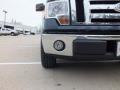 Black - F150 XLT Regular Cab Photo No. 9
