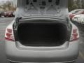 Brilliant Silver - Sentra 2.0 Photo No. 6