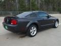2008 Alloy Metallic Ford Mustang V6 Deluxe Coupe  photo #3
