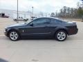 2008 Alloy Metallic Ford Mustang V6 Deluxe Coupe  photo #6
