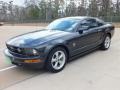 Alloy Metallic 2008 Ford Mustang Gallery