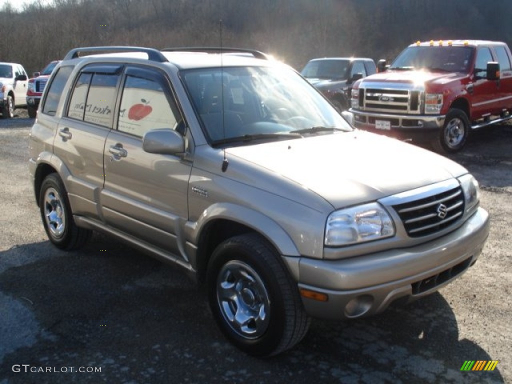 2005 Grand Vitara LX 4WD - Cool Beige Metallic / Beige photo #2