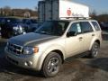 2012 Gold Leaf Metallic Ford Escape XLT V6 4WD  photo #4