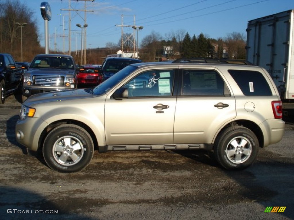 Gold Leaf Metallic 2012 Ford Escape XLT 4WD Exterior Photo #61135337