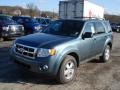 Steel Blue Metallic 2012 Ford Escape XLT 4WD Exterior