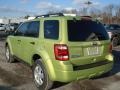 2012 Lime Squeeze Metallic Ford Escape XLT 4WD  photo #6