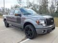 Sterling Gray Metallic 2012 Ford F150 FX4 SuperCrew 4x4 Exterior