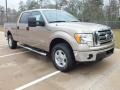 Pale Adobe Metallic 2012 Ford F150 XLT SuperCrew 4x4 Exterior