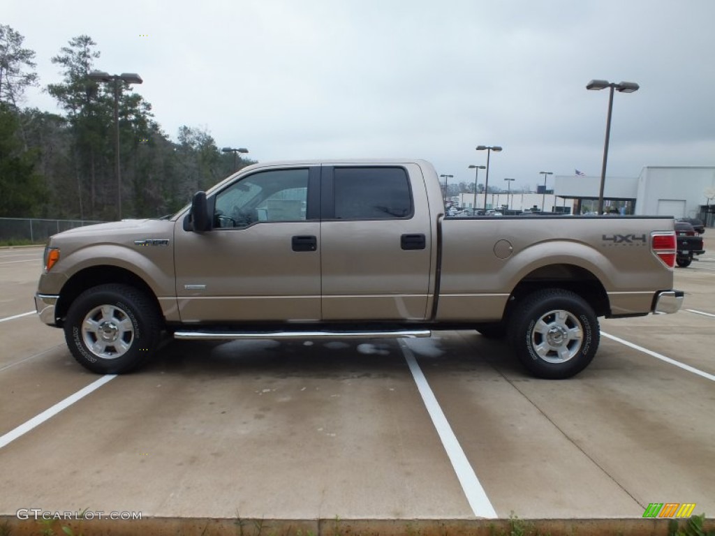 2012 F150 XLT SuperCrew 4x4 - Pale Adobe Metallic / Pale Adobe photo #8