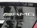 2010 Mercedes-Benz C 63 AMG Badge and Logo Photo