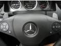 Controls of 2010 C 63 AMG
