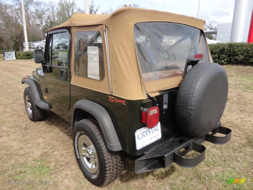 1995 Wrangler S 4x4 - Moss Green Pearl / Spice Beige photo #3
