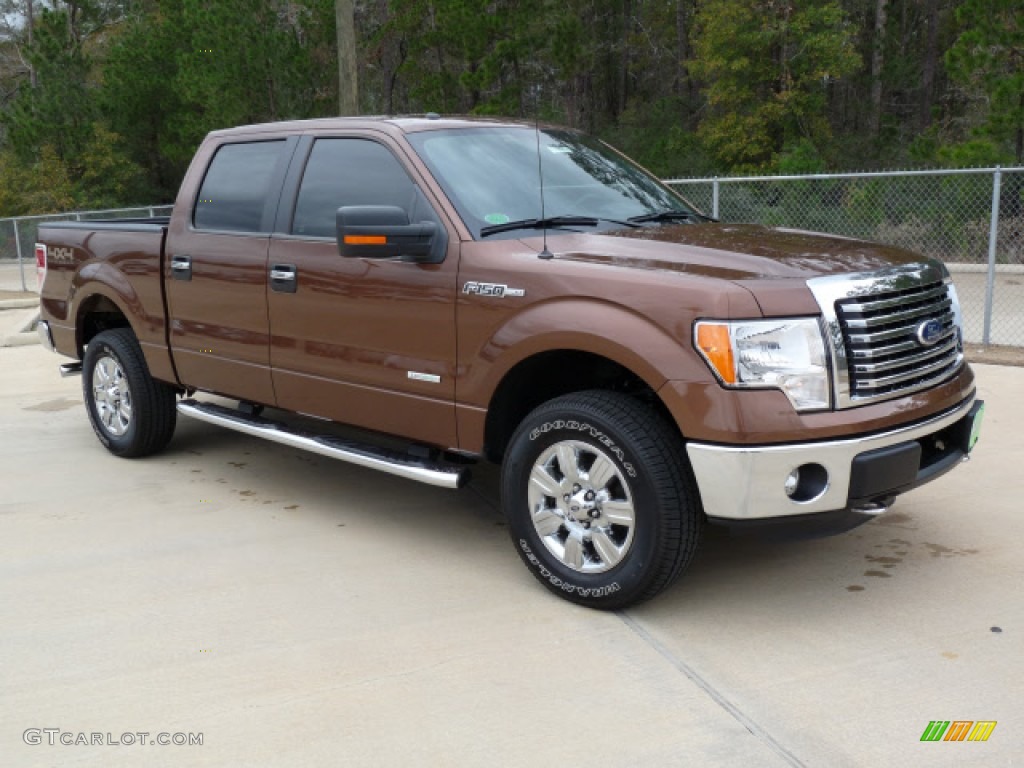 Golden Bronze Metallic 2012 Ford F150 XLT SuperCrew 4x4 Exterior Photo #61137737