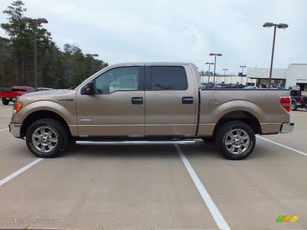 2012 F150 XLT SuperCrew - Pale Adobe Metallic / Pale Adobe photo #10