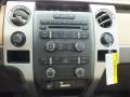 Pale Adobe Controls Photo for 2012 Ford F150 #61138301