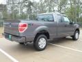 Sterling Gray Metallic 2012 Ford F150 STX SuperCab Exterior