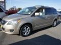 2009 Blonde Maple Volkswagen Routan SEL  photo #8