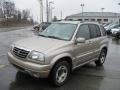 2005 Cool Beige Metallic Suzuki Grand Vitara LX  photo #4