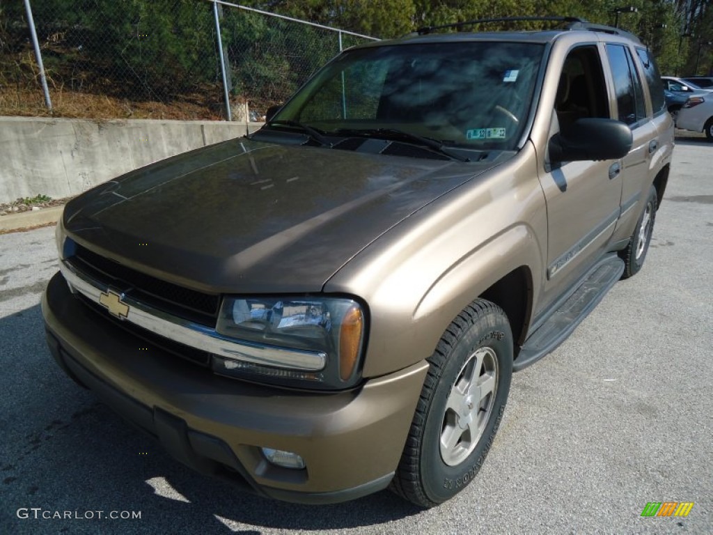 Sandalwood Metallic 2002 Chevrolet TrailBlazer LT 4x4 Exterior Photo #61153632