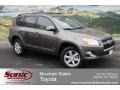 Pyrite Mica - RAV4 V6 Limited 4WD Photo No. 1