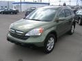 2009 Green Tea Metallic Honda CR-V EX-L 4WD  photo #2