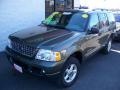 2004 Estate Green Metallic Ford Explorer XLT 4x4  photo #1