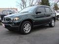 2004 Highland Green Metallic BMW X5 3.0i  photo #2