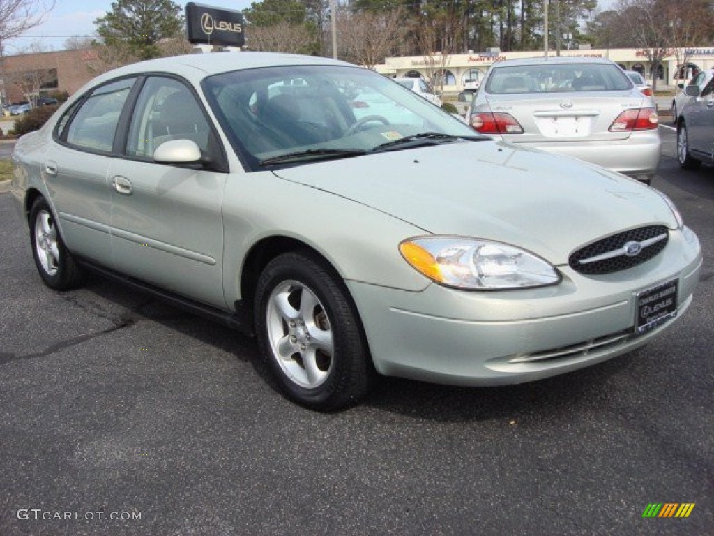 Gold Ash Metallic 2003 Ford Taurus SES Exterior Photo #61171567