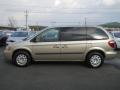 Linen Gold Metallic - Town & Country  Photo No. 12
