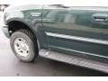 2001 Dark Highland Green Metallic Ford Expedition XLT 4x4  photo #10