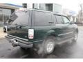 2001 Dark Highland Green Metallic Ford Expedition XLT 4x4  photo #13